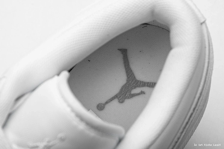 1 553558-170 Jordan Low Pure Platinum Retro  1006